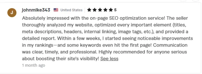 Fiverr Website SEO Review 